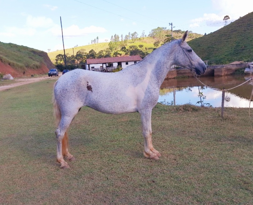 Imagem de capa do card